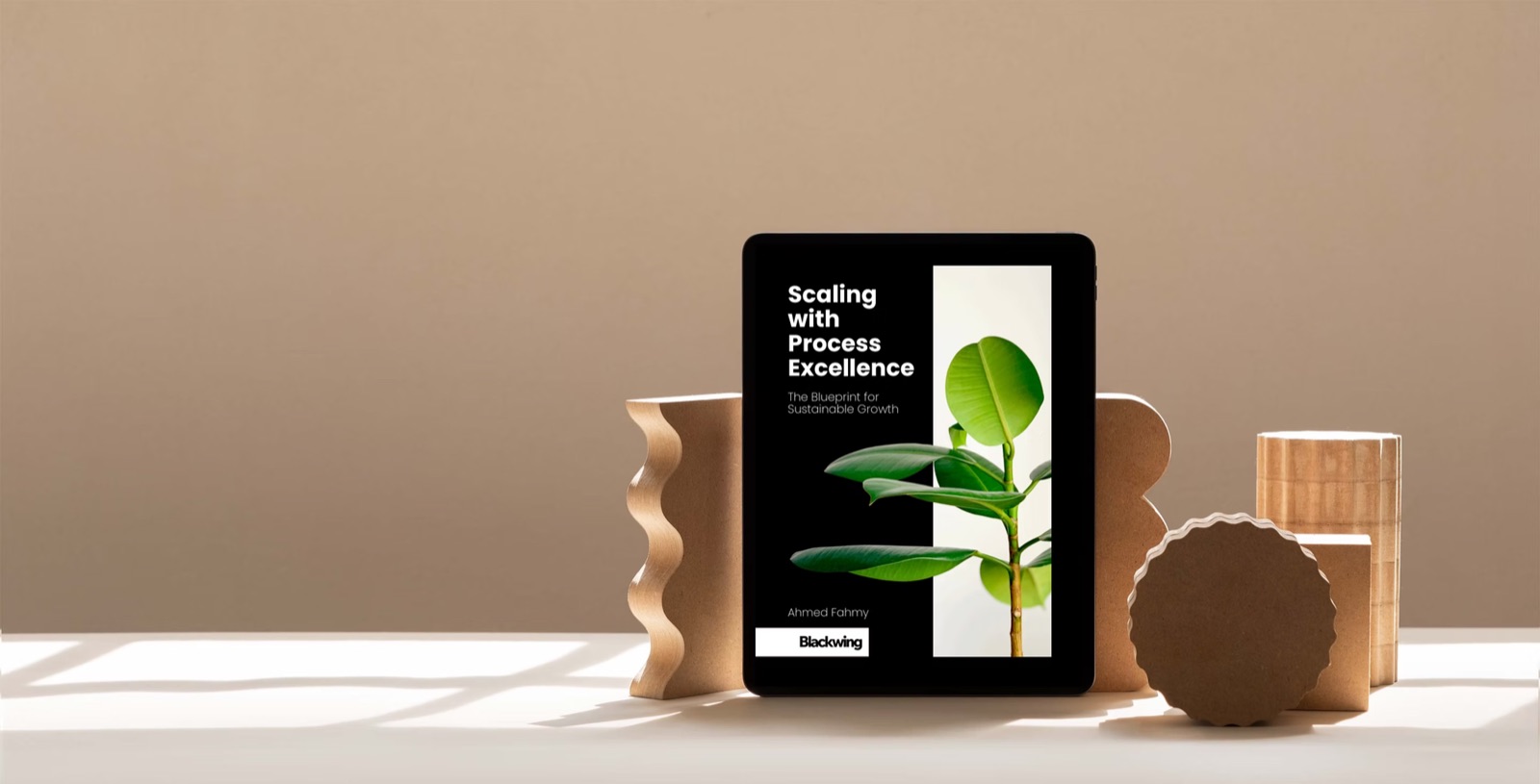 Scaling with Process Excellence guide preview